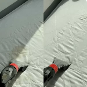 Tekstiilipesuri rent – diivani, madratsi ja vaiba puhastus