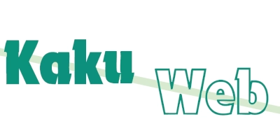 Tekstiilipesuri rent – diivani, madratsi ja vaiba puhastus