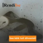 Tekstiilipesuri rent – diivani, madratsi ja vaiba puhastus