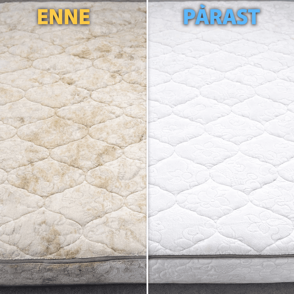 Rendi tekstiilipesur, aurupesur, aknapesurobot ja tolmuimeja nutikappidest üle Eesti. Kiire, mugav ja kontaktivaba broneerimine Tallinnas, Tartus, Pärnus ja Rakveres.